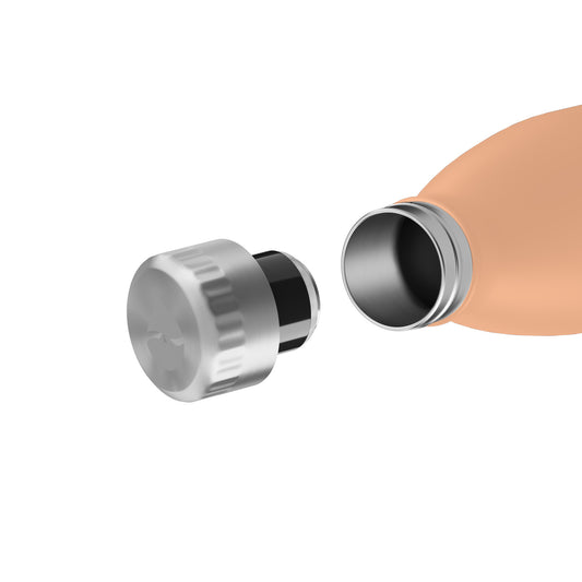 FLSK Trinkflasche aus Edelstahl peach 750 ml