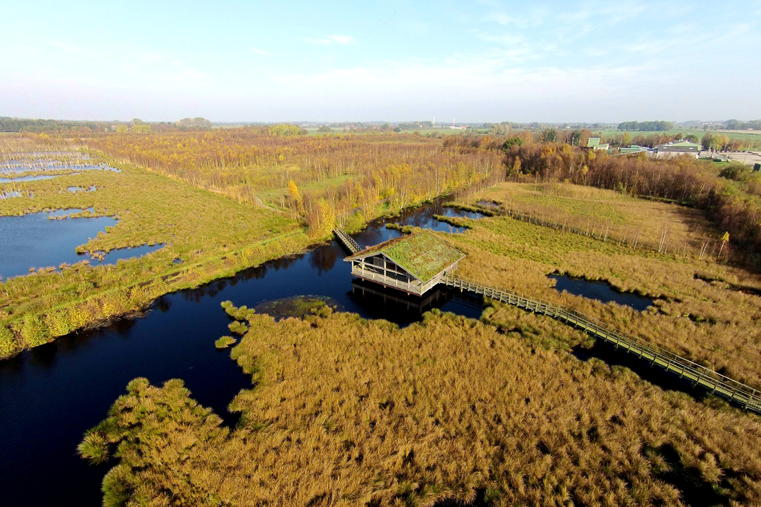 FLSK x Deutsche Wildtier Stiftung: Gemeinsam für den Klima- und Naturschutz im Aschhorner Moor